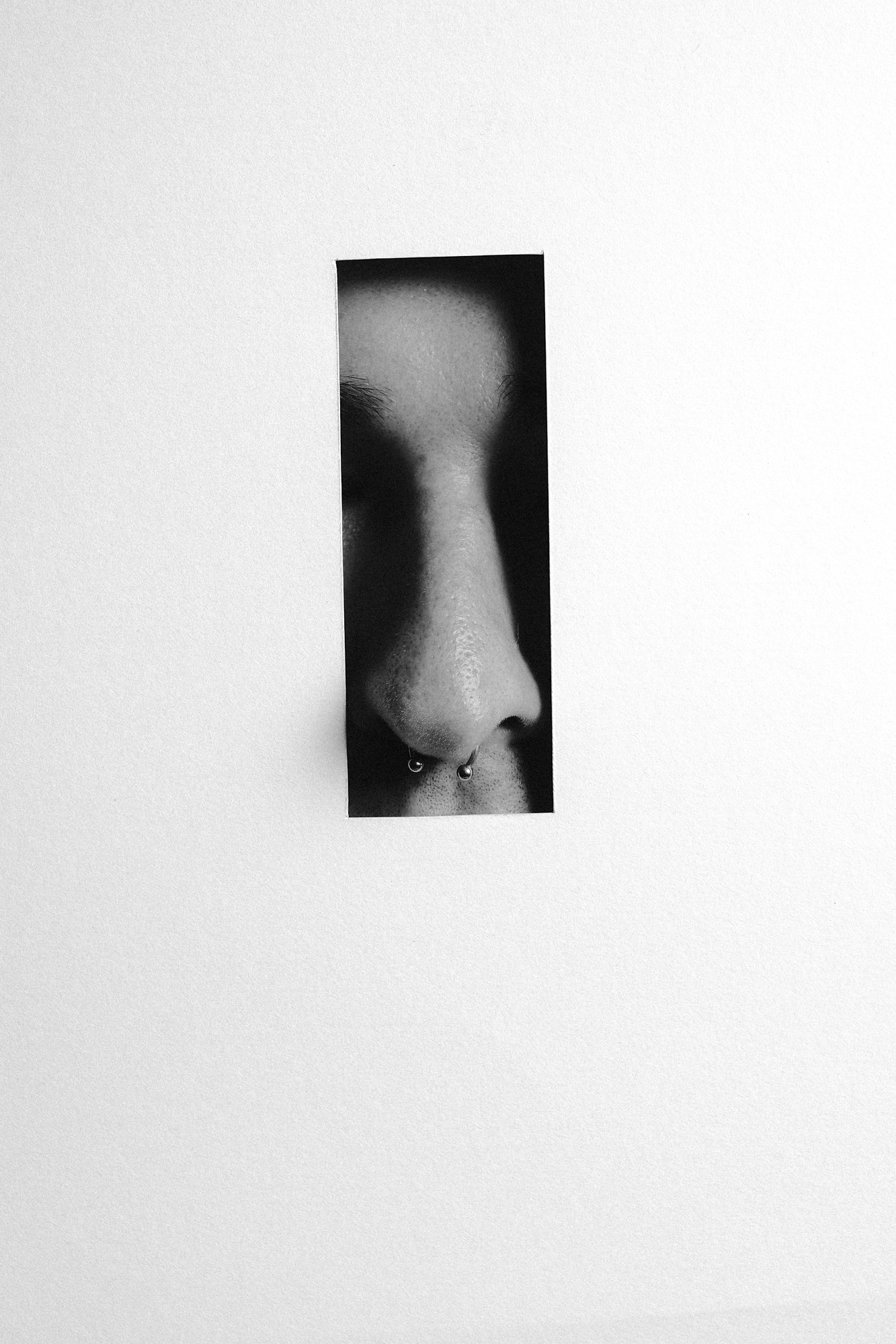 The Nose, image 7 of 13
