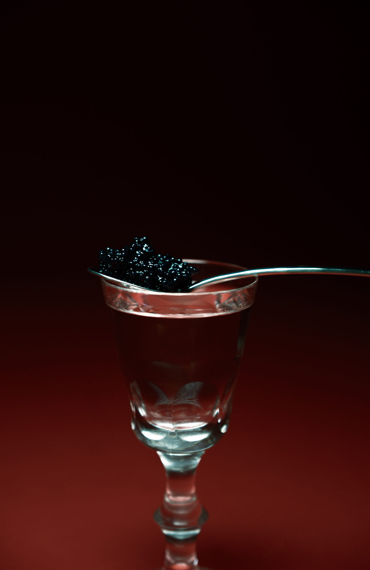The With, image 13 of 16